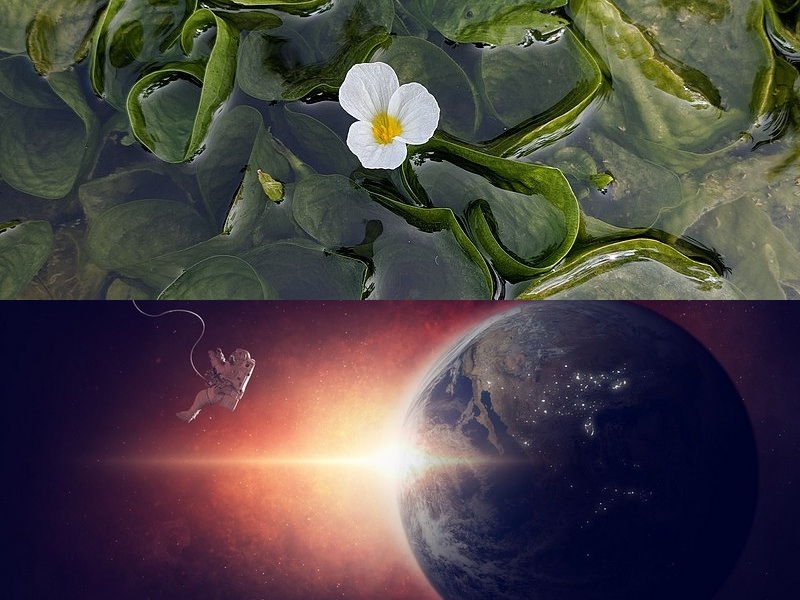 开发小程序