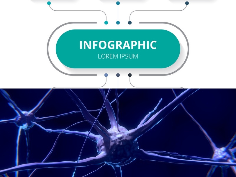 知名的手机软件开发公司有哪些