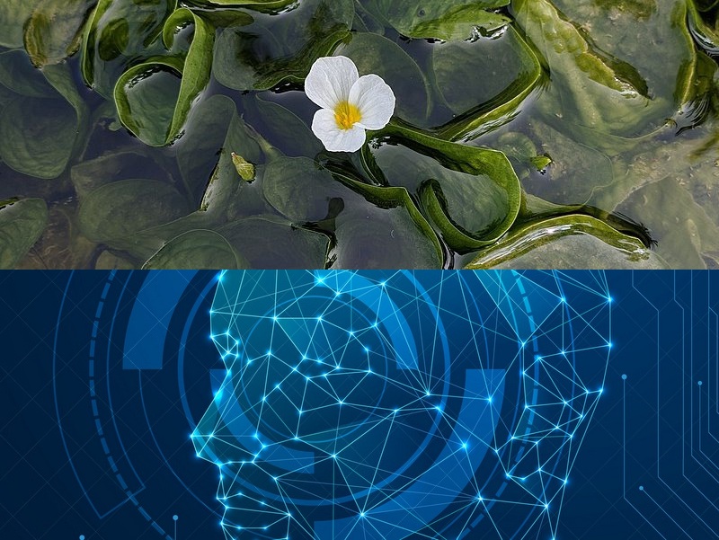 开发APP应用程序