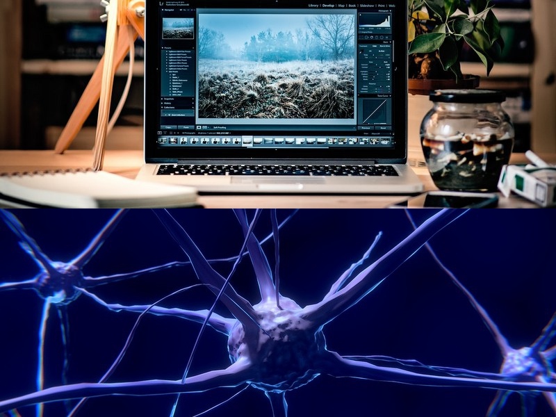 智能家居带热指纹锁 生物识别商业价值分析