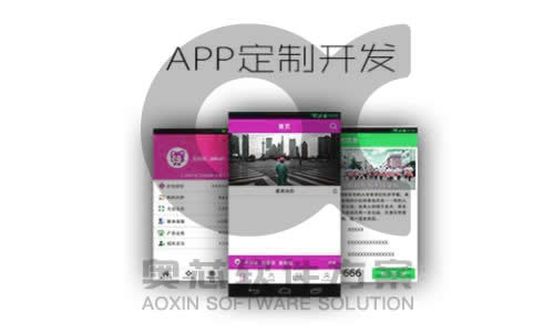 app定制开发