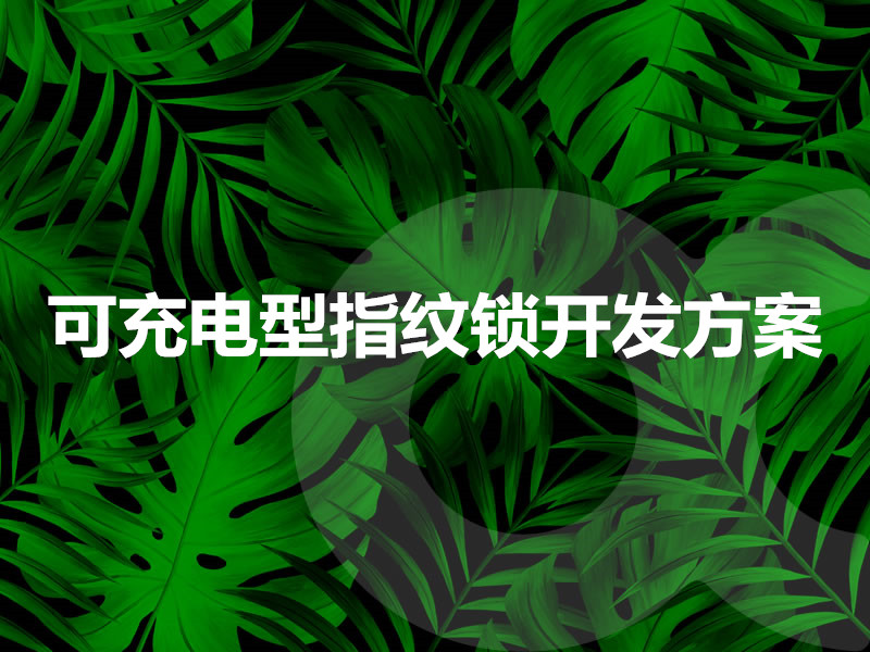 可充电型指纹锁开发方案