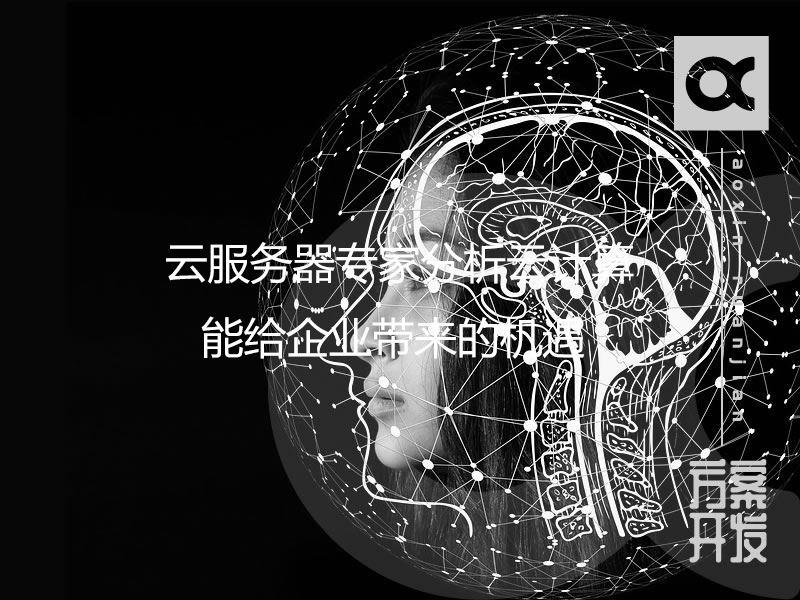  云服务器专家分析云计算能给企业带来的机遇