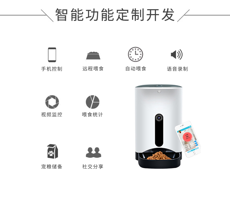 智能功能定制开发