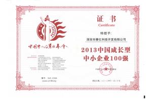 中国中小企业100强（成长型）