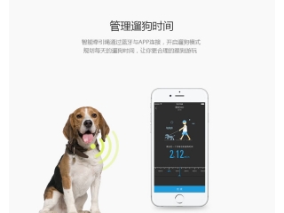 宠物牵引绳