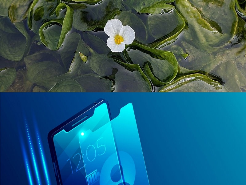 app软件定制开发公司