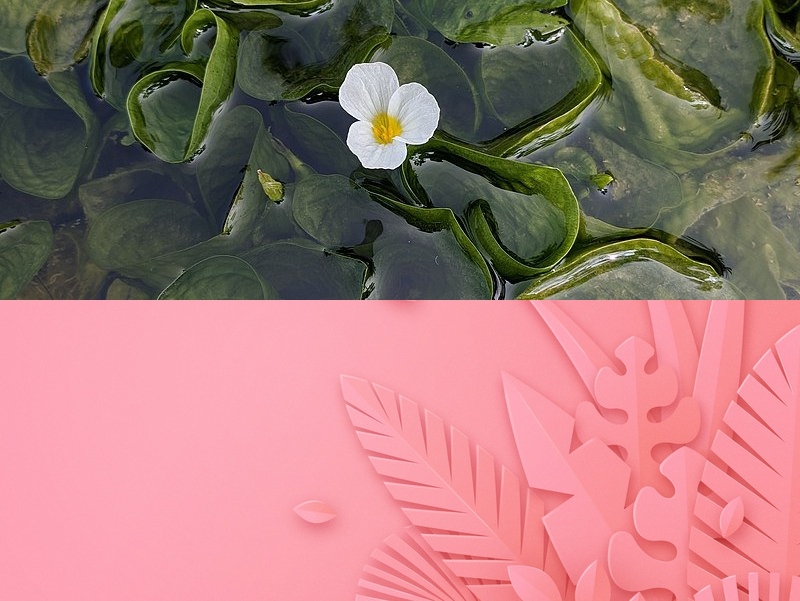 Web应用开发